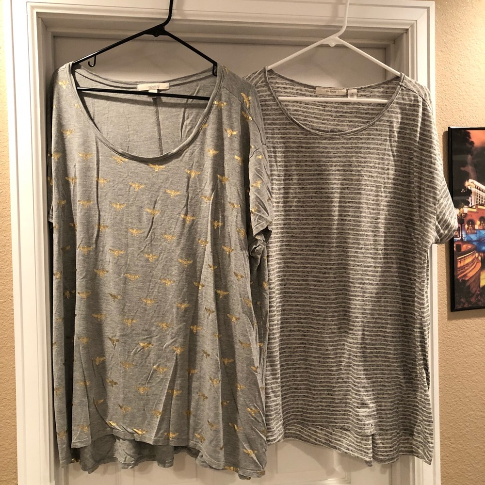 Set of 2 grey Sejour t shirts